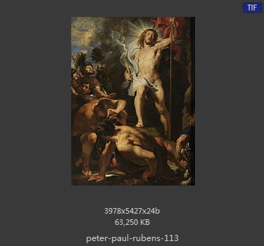 Peter Paul Rubens