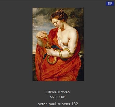 Peter Paul Rubens