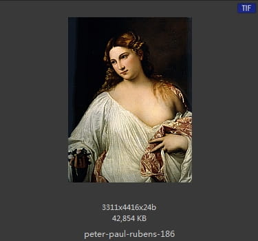 Peter Paul Rubens