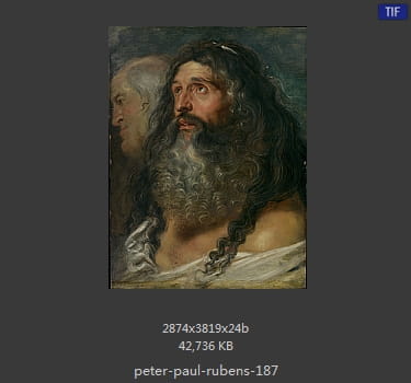 Peter Paul Rubens
