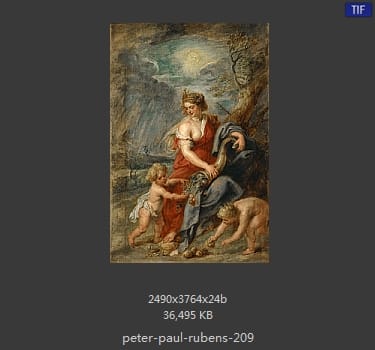 Peter Paul Rubens