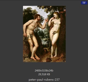 Peter Paul Rubens