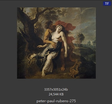 Peter Paul Rubens
