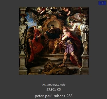 Peter Paul Rubens