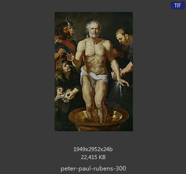 Peter Paul Rubens
