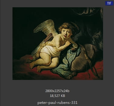 Peter Paul Rubens
