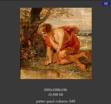 Peter Paul Rubens