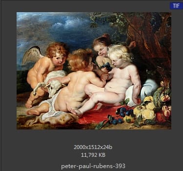 Peter Paul Rubens
