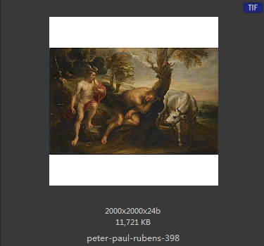 Peter Paul Rubens