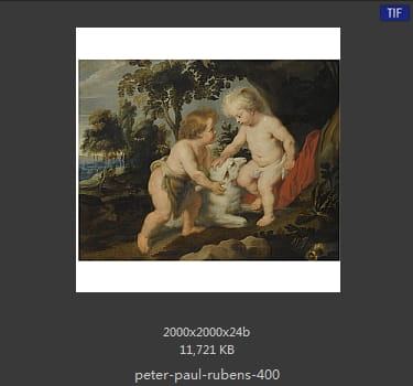 Peter Paul Rubens
