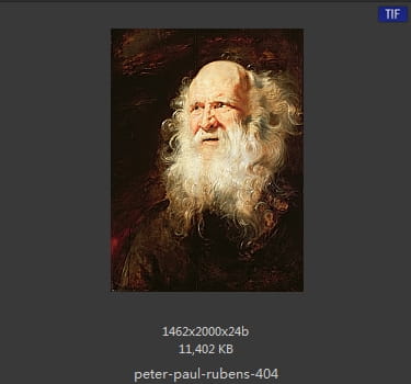 Peter Paul Rubens