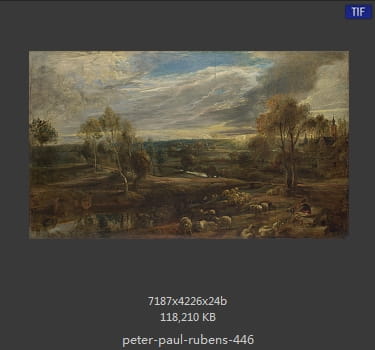 Peter Paul Rubens
