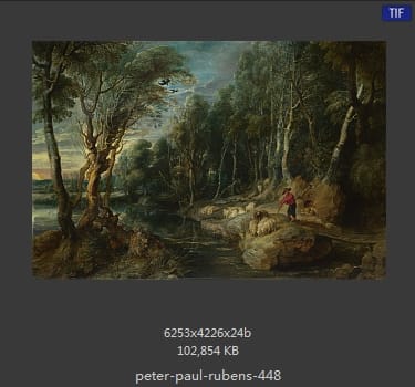 Peter Paul Rubens