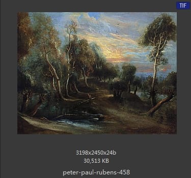 Peter Paul Rubens