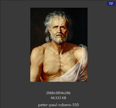 Peter Paul Rubens