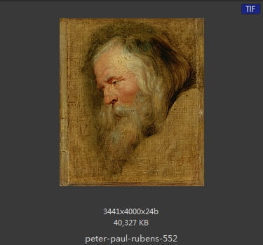 Peter Paul Rubens