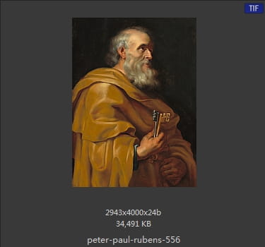Peter Paul Rubens