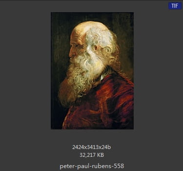 Peter Paul Rubens