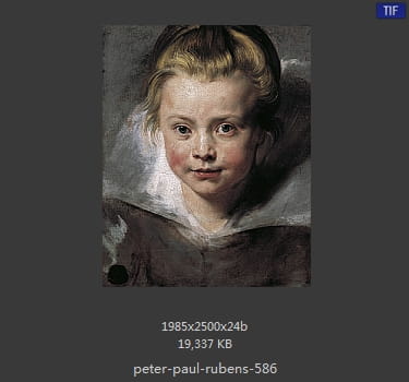 Peter Paul Rubens