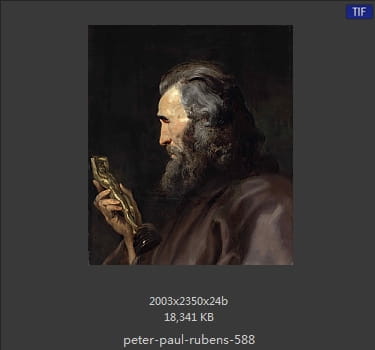Peter Paul Rubens
