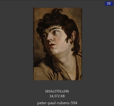 Peter Paul Rubens