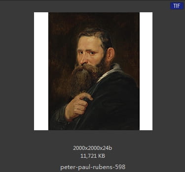 Peter Paul Rubens