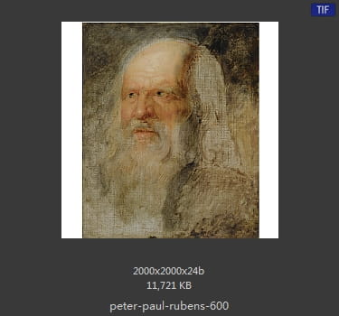 Peter Paul Rubens