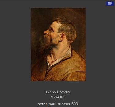Peter Paul Rubens