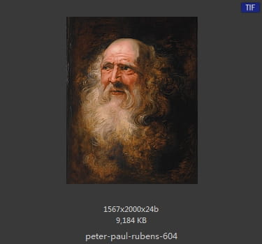 Peter Paul Rubens