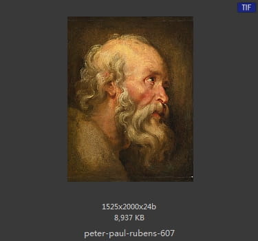 Peter Paul Rubens
