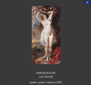 Peter Paul Rubens
