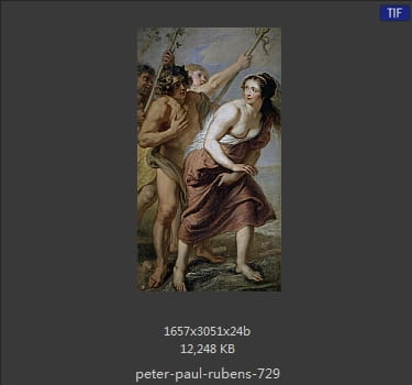 Peter Paul Rubens