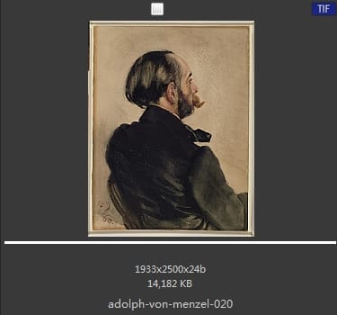 Adolf von Menzel