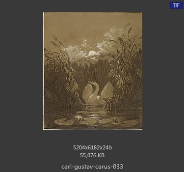 Carl Gustav Carus