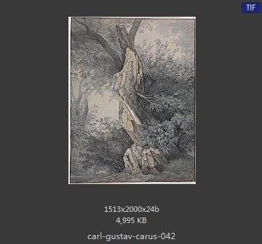 Carl Gustav Carus