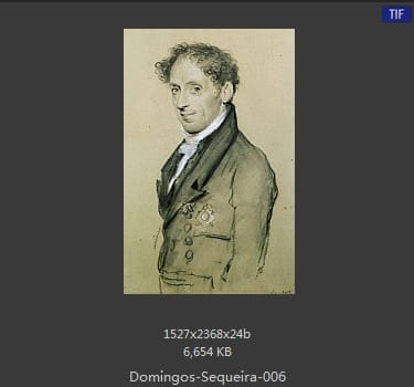 Domingos Sequeira