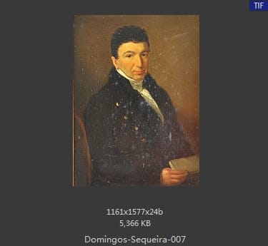 Domingos Sequeira