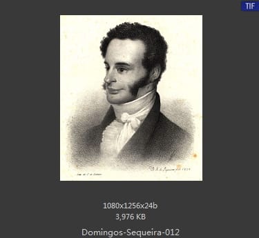 Domingos Sequeira