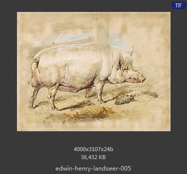 Edwin Henry Landseer