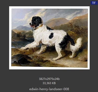 Edwin Henry Landseer
