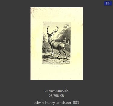 Edwin Henry Landseer