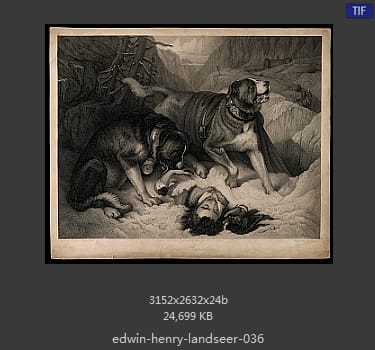Edwin Henry Landseer