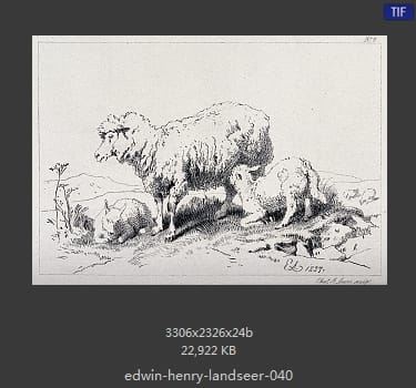 Edwin Henry Landseer