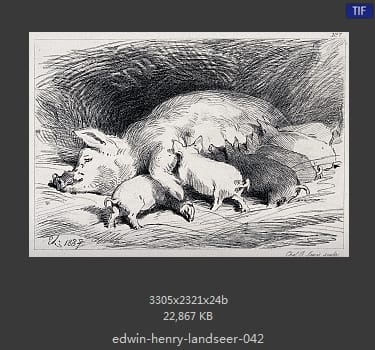 Edwin Henry Landseer