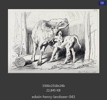 Edwin Henry Landseer