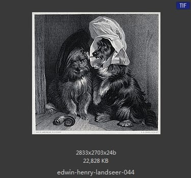 Edwin Henry Landseer