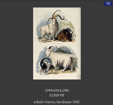 Edwin Henry Landseer