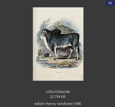 Edwin Henry Landseer