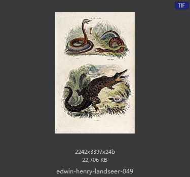 Edwin Henry Landseer