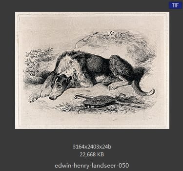 Edwin Henry Landseer